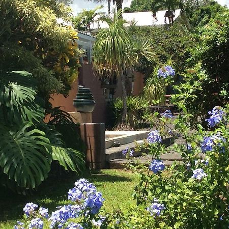 Mediteranean Style Ohana Rental / Garden Bungalow In Pahoa Honolulu Landing Extérieur photo