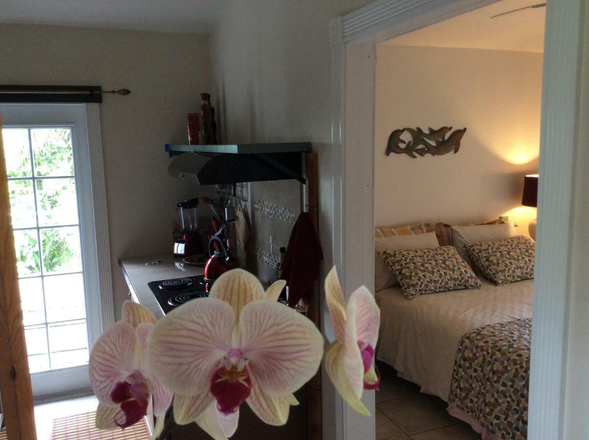 Mediteranean Style Ohana Rental / Garden Bungalow In Pahoa Honolulu Landing Extérieur photo